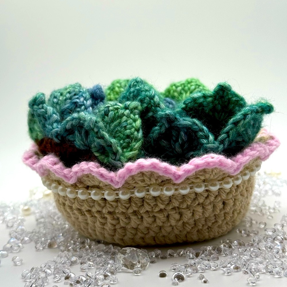 🌿Handmade Crochet Succulent Coasters with Basket🌿